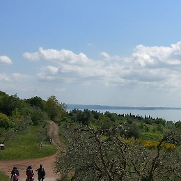 Reportage: "Via Francigena del nord. Da Acquapendente a Roma"