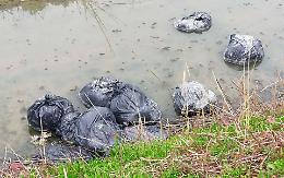 Fossi come discariche