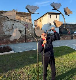 Sfregio: l’albero di Geremia deturpato