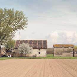 Esposizione "Fra cascine e natura padana" di Roberto Dellanoce