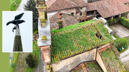 A rischio il portale del corvo