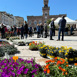 Listone in fiore: fiori, orti e affini nel centro della città