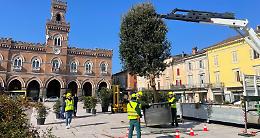 Listone in Fiore, allestita l’aiuola-installazione