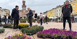 'Listone in Fiore': «La piazza dei nostri sogni»
