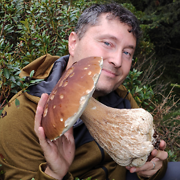 Incontro: Funghi, meraviglie della natura