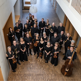Concerto: I Brandeburghesi, Freiburger Barockorchester