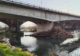 Allarme sull’Adda: «Tronchi da eliminare»
