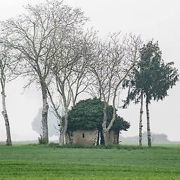"Alberi" mostra fotografica in omaggio a Mario Lodi