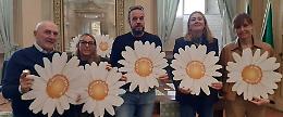 Le Invasioni Botaniche: le margherite un inno alla primavera