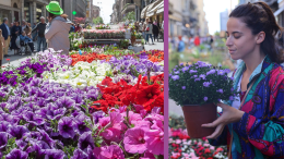 Margherite e motori: la città si accende con Le Invasioni Botaniche