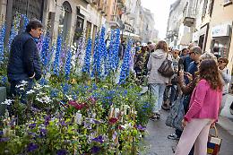 Le Invasioni Botaniche, passeggiare in centro è un toccasana