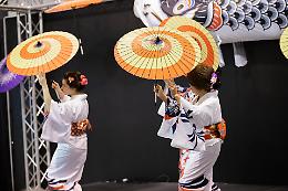 Arriva il Japan Show e l'Italian Koi Expo: il Sol Levante ritorna in fiera