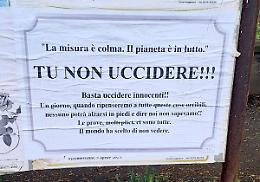 «Tu non uccidere»: spuntano manifesti dal messaggio potente