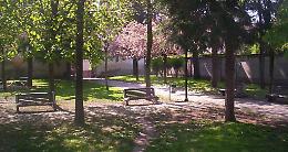 Uniti sui vigili, ma è bagarre sul verde