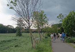 Mosi, è ‘strage’ di alberi lungo la pista ciclabile