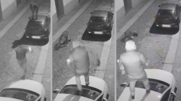 Saltano sui tetti delle auto: vandali filmati in centro