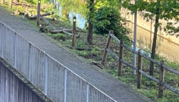 Vandali scatenati sulla ciclabile, distrutti alcuni metri della staccionata 