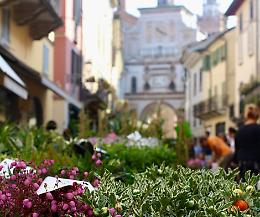 Crema Fiori e Sapori: la primavera per le vie del centro