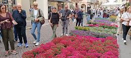 'Crema Fiori e Sapori', partenza sprint: la città si riempie di colori, profumi e visitatori