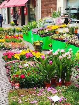 Fiori, profumi e artigianato: Crema conquista tutti