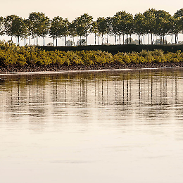 Due appuntamenti speciali lungo il Grande Fiume