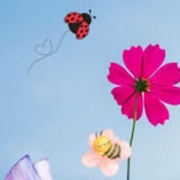 Tradizionale Fiera di Primavera