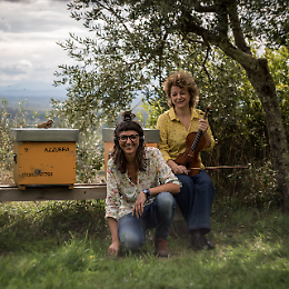 Concerto di musica bioelettronica in apiario