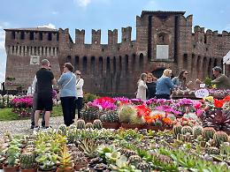 Borgo Fiorito: un'esplosione di colori e profumi nel cuore di Soncino