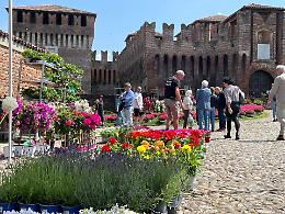 Soncino Borgo Fiorito conquista la primavera lombarda