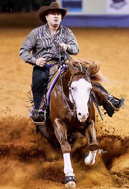 Salone del Cavallo americano: ritorna Fappani