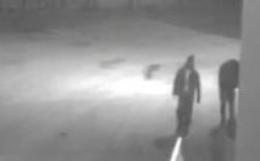 Colpo da 400mila euro alla Vergani, condannati i tre della gang di Cerignola