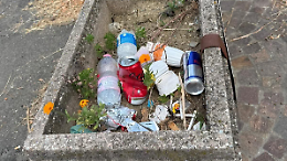 Furti a raffica: rubano anche i fiori appena piantati