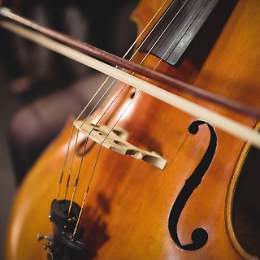 I concerti del mercoledì in Biblioteca 