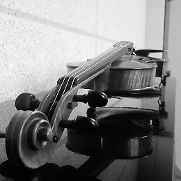 Concerto per violino e pianoforte, Conservatorio Monteverdi
