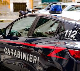 Cani contro il suo animale, poi colpito a un occhio dalla pastora