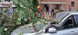 Ancora maltempo in arrivo: parchi chiusi in città