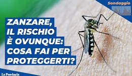 Zanzare e virus, la prevenzione comincia da casa tua