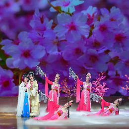 "Peach-Blossom Face" Opera Tradizionale Cinese