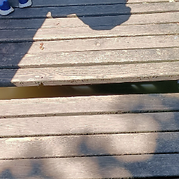 Ponticello danneggiato ai giardini di porta Serio, area transennata