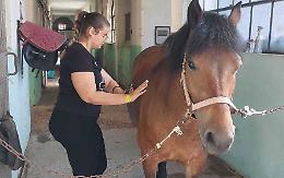 Centro riabilitazione equestre, i ragazzi dello Sraffa tra i cavalli