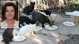 Animali, ora il garante vigilerà anche sui gatti