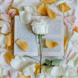 Firmacopie del libro di poesie Medicamentum di Giorgia Cipelli