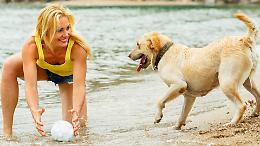 Cani e gatti sotto il sole, vademecum anti caldo