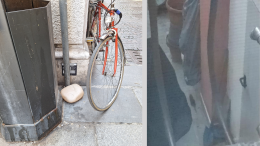 I topi invadono il centro: una distesa di trappole