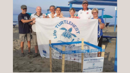 Forte, tartaruga Caretta caretta depone le uova sulla spiaggia della casa al mare