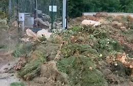 «La piazzola ecologica un’area abbandonata»