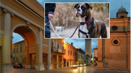 Deiezioni dei cani sotto i portici: cittadini denunciano degrado