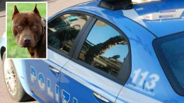 Rapina con il pitbull, la Polizia identifica uno degli aggressori