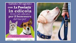 Salute dei pet, La Provincia in campo
