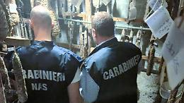 Salumi prodotti in casa senza autorizzazioni sanitarie: scatta il maxi sequestro 